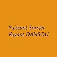 Sorcier Voyant DANSOU